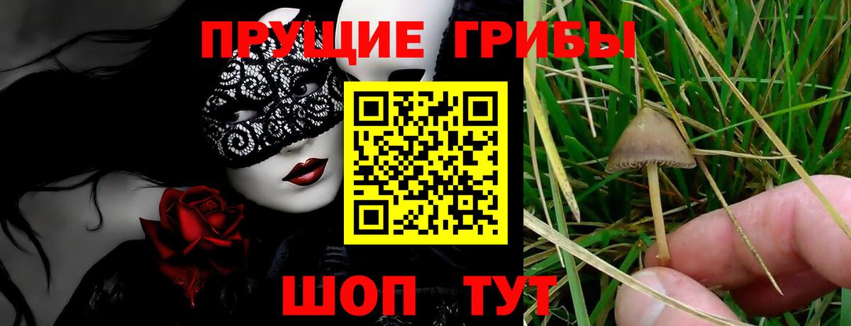 Псилоцибиновые грибы Psilocybine cubensis  Галлюциногенные грибы ЛСД  Вход с VPN  Алексеевка 